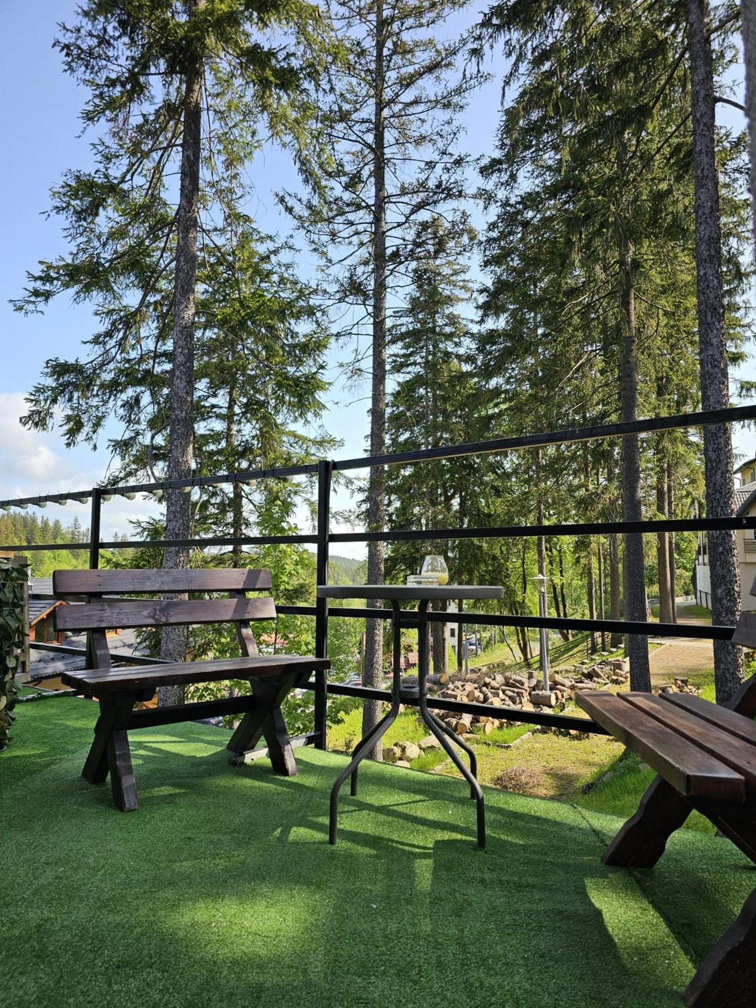 Bed and Breakfast Safir Przy Samym Wyciagu Karpacz Esterno foto
