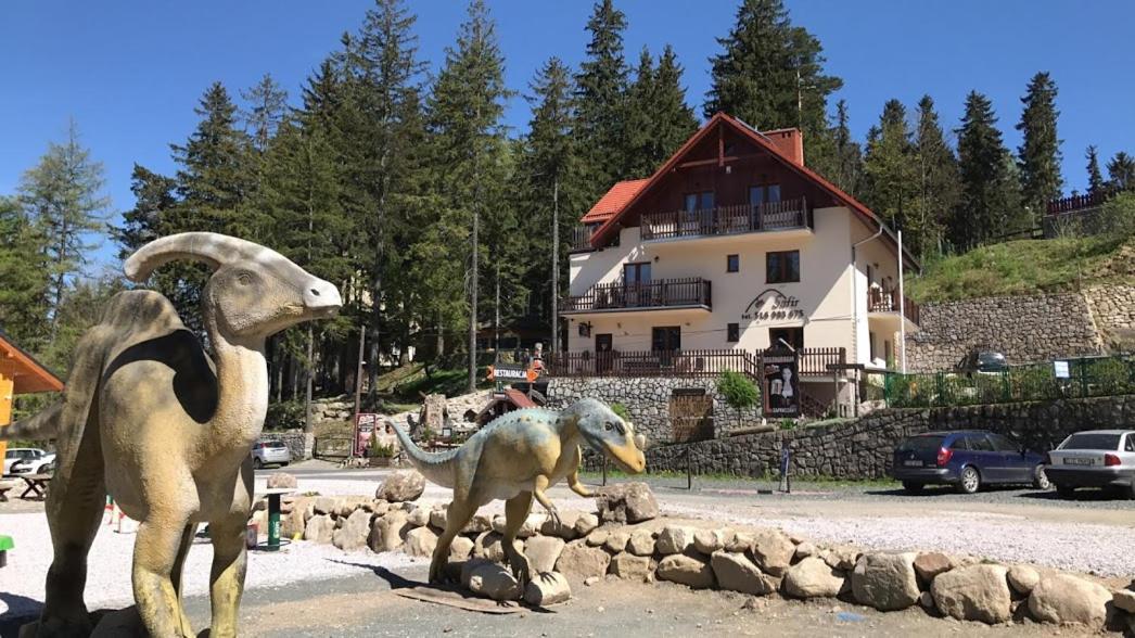 Bed and Breakfast Safir Przy Samym Wyciagu Karpacz Esterno foto