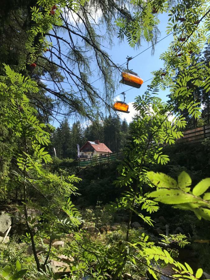 Bed and Breakfast Safir Przy Samym Wyciagu Karpacz Esterno foto