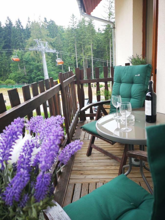 Bed and Breakfast Safir Przy Samym Wyciagu Karpacz Esterno foto